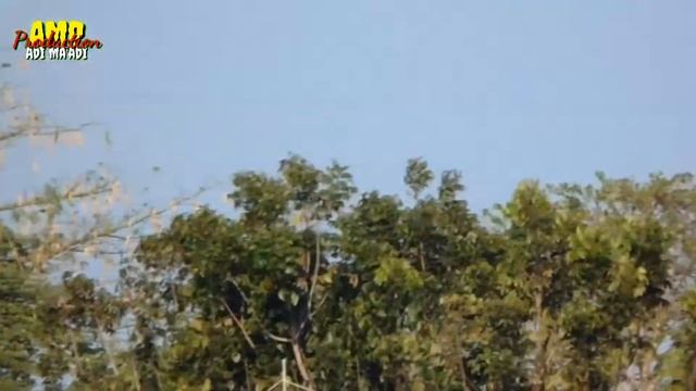 Sony Dsc H-400 63x Zoom Video Test