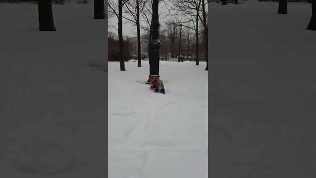 2346a73e6bcc86e263cac2eb5c6ad38b