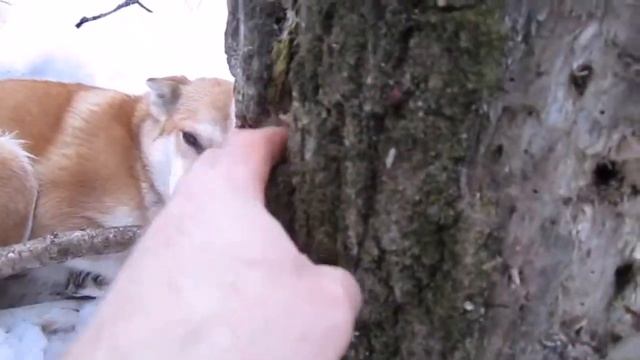 735048e0116215808c797cf11d1e9541