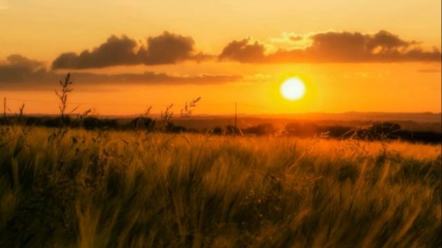 Стресс-вдохновение