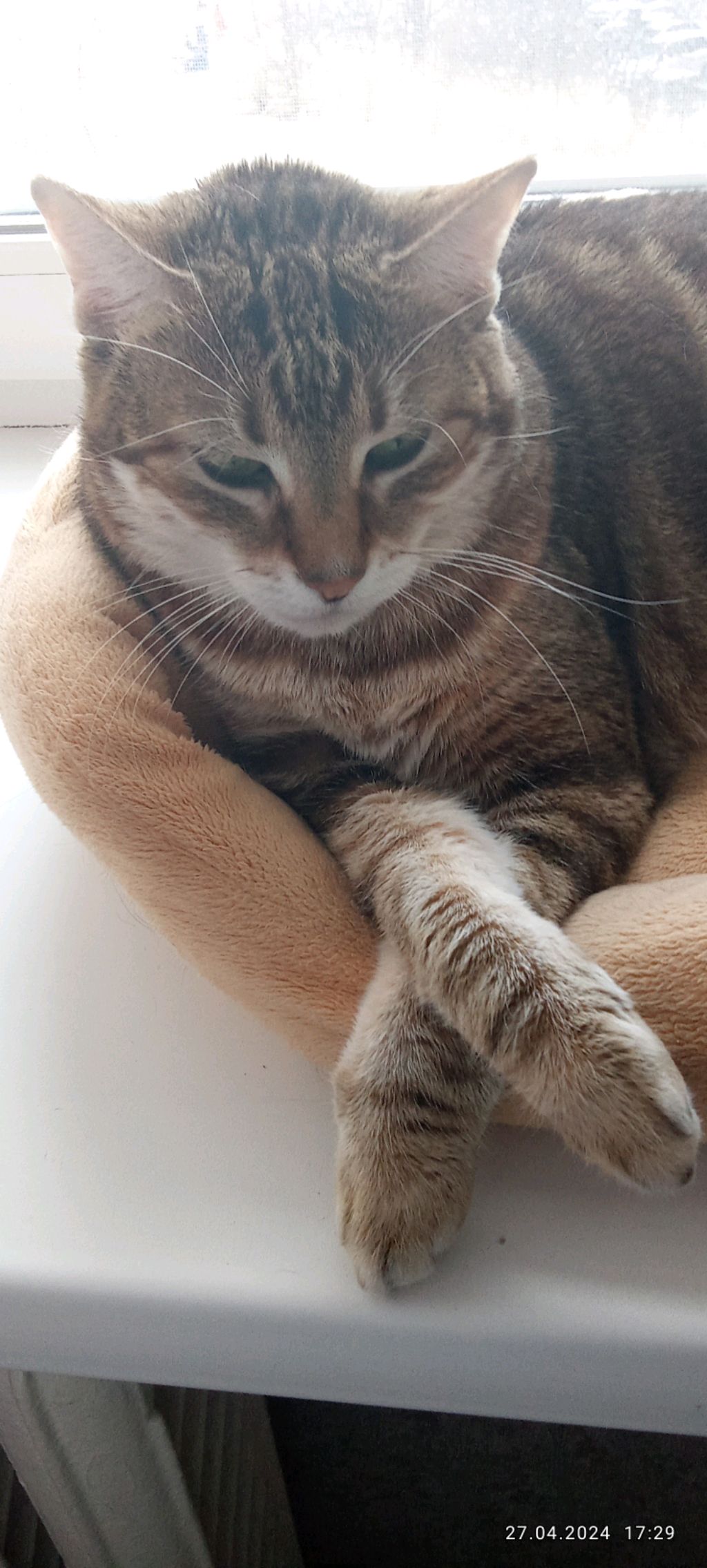 показываю концертный зал в Майнкрафте