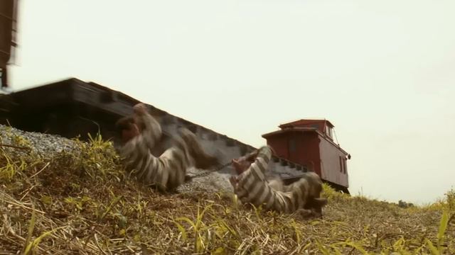 Джордж Клуни заявился на 