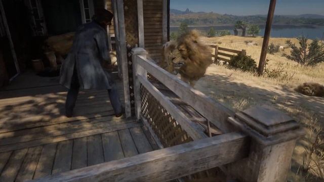Lions Vs Humans | Red Dead Redemption 2 NPC Wars 67
