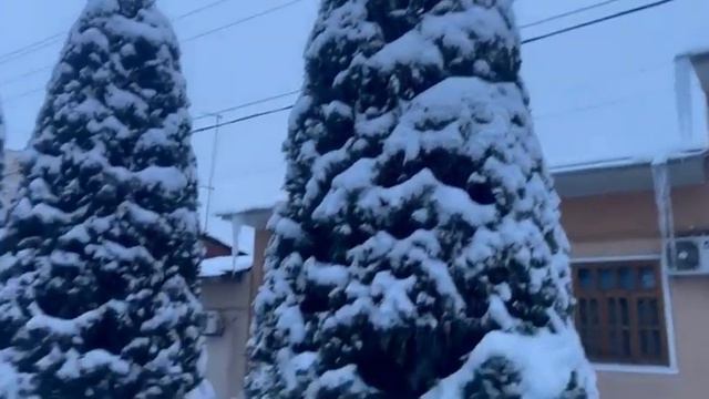 Ташкент. Погода 19 февраля