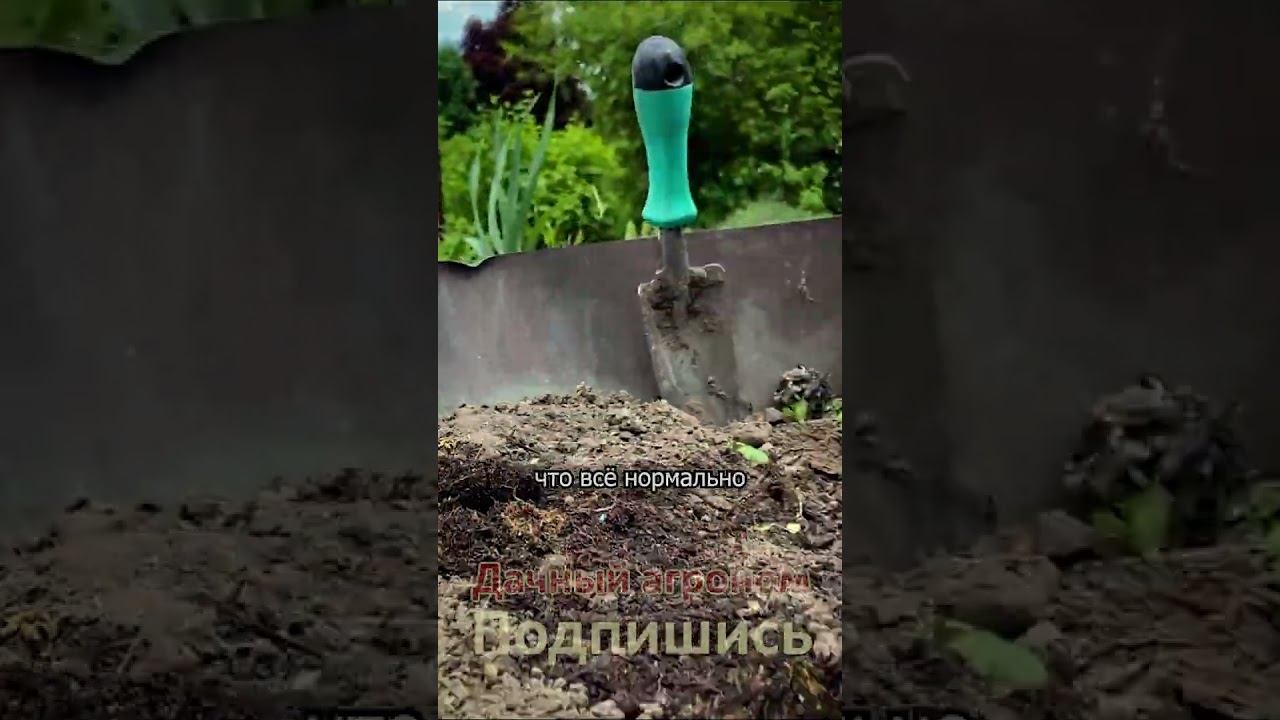 Дачный агроном