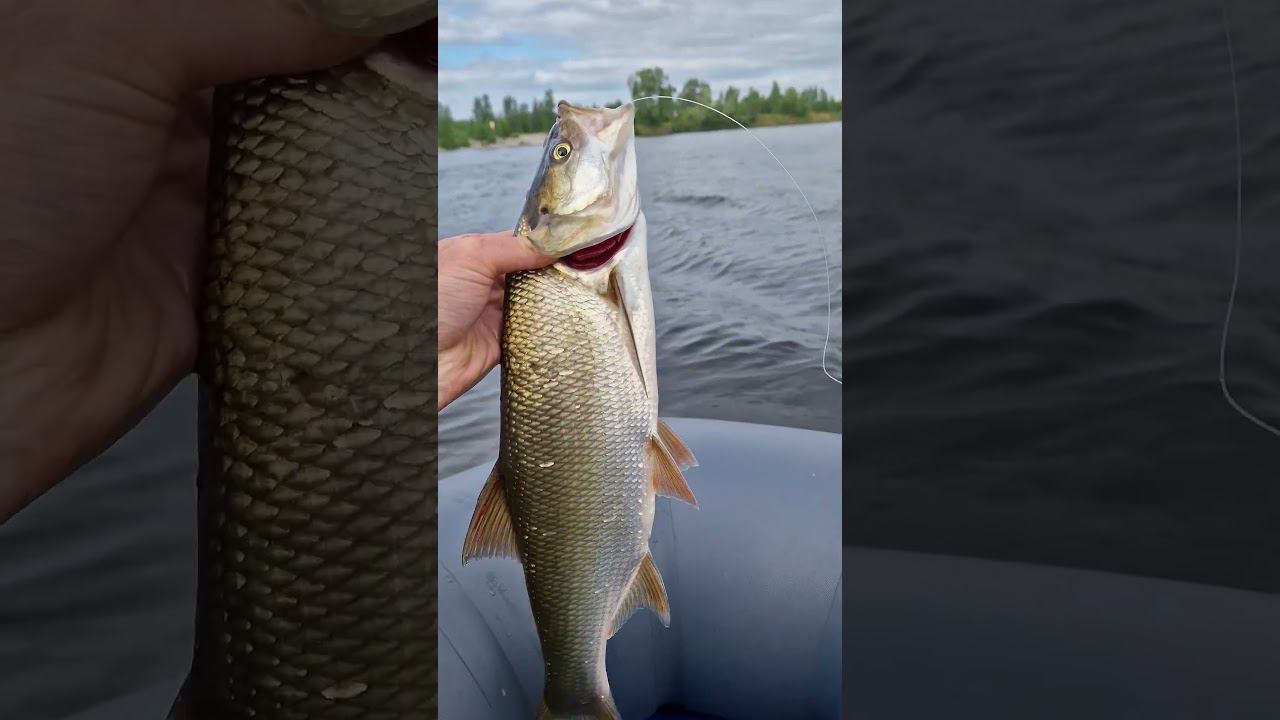 Afb02bd6fdb611399e50f0977e813dfe