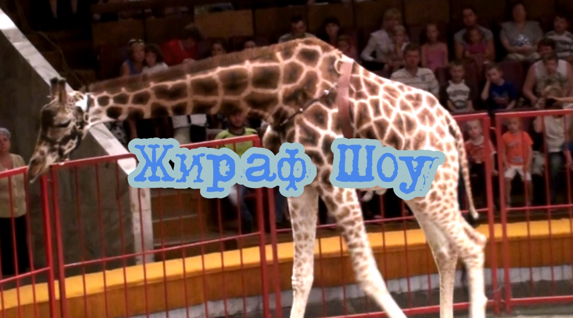 77c44c67bc247db712c1d2b120a63e08