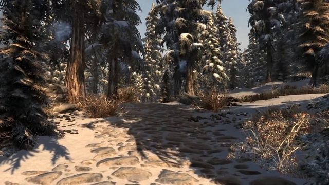 Walk Through Skyrim | Ambience & Music