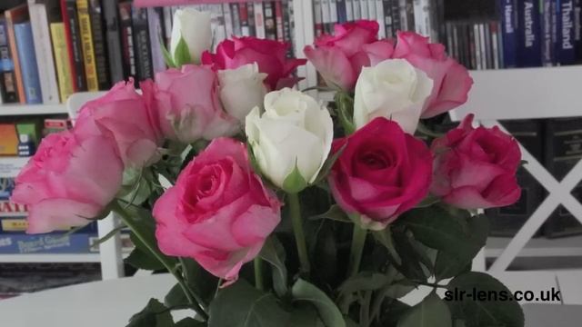 Canon EOS 60D Review (compared To The Canon EOS 40D)