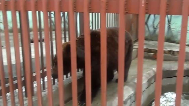 1654a943781d3b5356dd316562d7f4bb