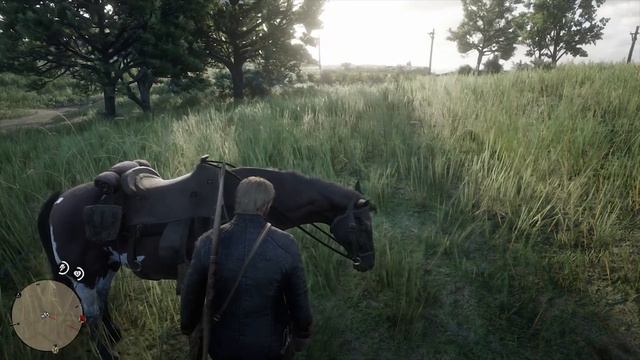 Red Dead Redemption 2 - How To Brush Your Horse