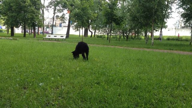 7dbfd0f3d6dc01285894bebb90d4e97b