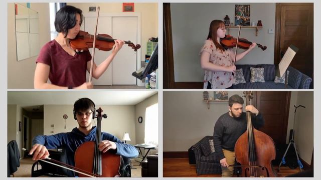 Quartet For Violin, Viola, Cello, And Double Bass - Matthew Whiteside