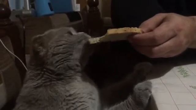 Коломенский хлеб всему голова