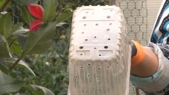 Посадка тюльпанов на зиму.