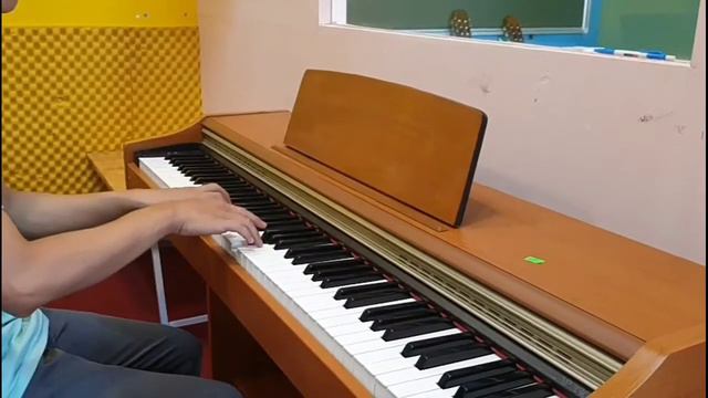 Piano Casio Ap-33  Review  Demo sound  Neo Music 0906-332-123