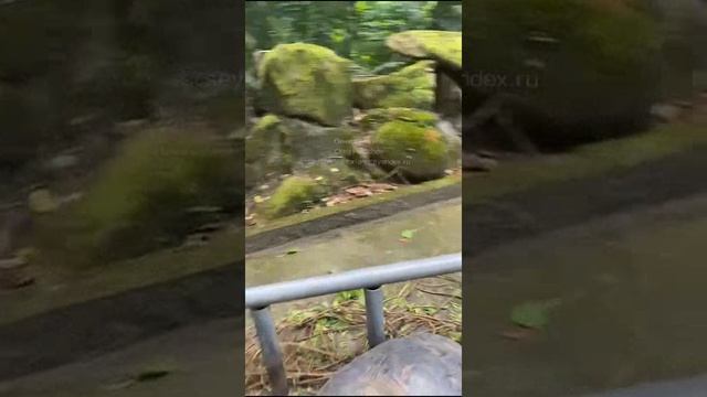 Сейшелы. Seychelles. 塞舌尔。 117