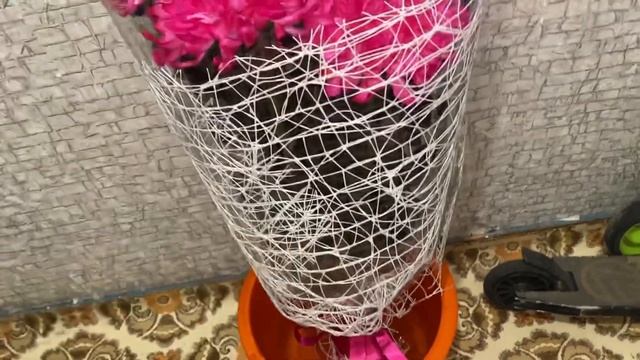 79b22bddabb2477bbc3294602c7982f6