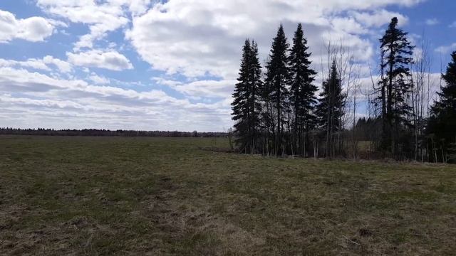 Княжево-участок у леса вдоль оврага