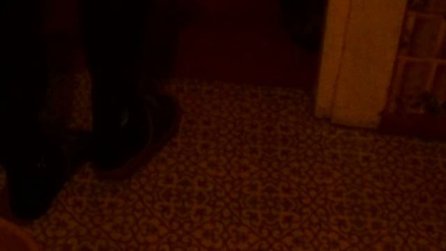 наша киса лиза играет в шарик