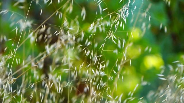 B27c3c777c2b91310a38876251446b4c