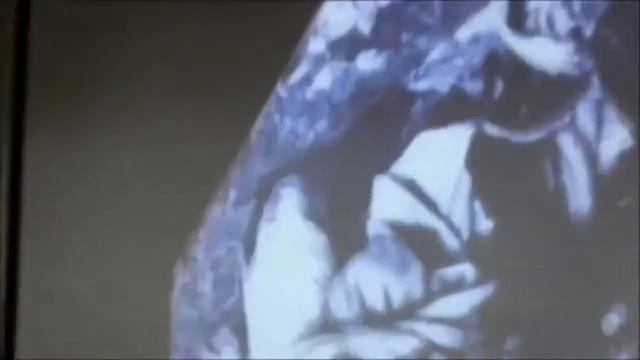 Музыка сердца  С Бурда  г Кривой Рог