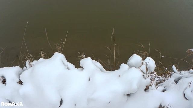 Столько МНОГО СНЕГА Не Было Давно. Прогулка по зимней сказке. Прошёлся по знакомым местам.