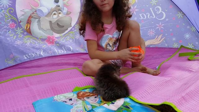 2cc6b5be7dd9971eb1c43a201e838f3c