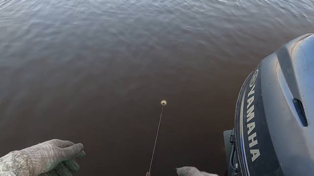 На карася. 20 минут рыбалки и домой!!!