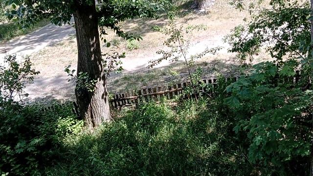 83b51f95694ac587da7fc5cd61bd87ce