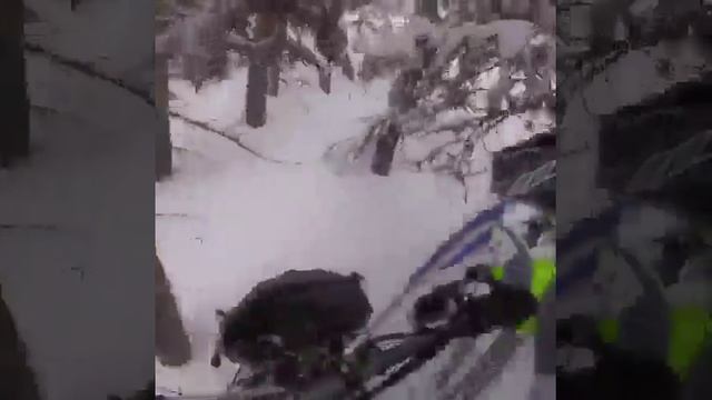 5e7240972b28288791fa12263819801c