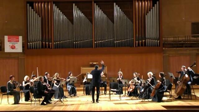 Камерный оркестр Игоря Лермана . 24 марта 2015 . Набережные Челны