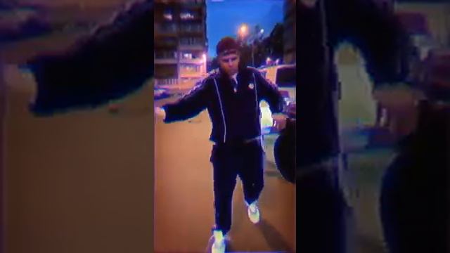 Литвин и Субо