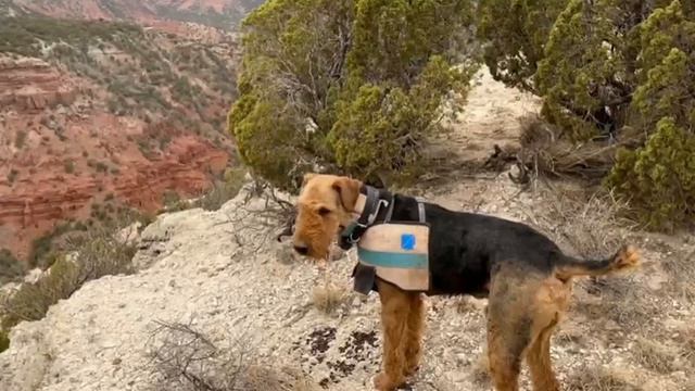 D2cf389d6f64951fb48e9304c6d651c6