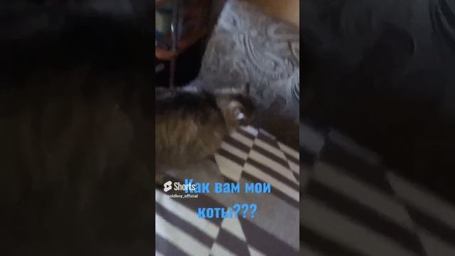 Подпишись!!!