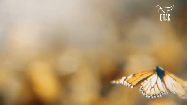 ИСПОВЕДЬ БЫВШЕЙ КОЛДУНЬИ!!! В поисках БОГА!.mp4