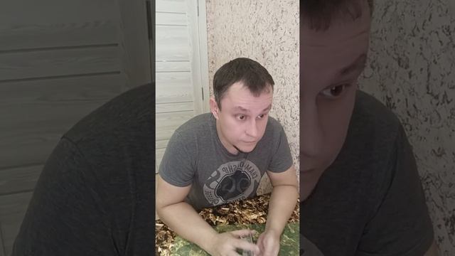 @kuper_max_1987=83905c.mp4