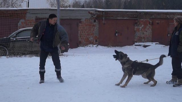 Г.М. Анубис (парню показали костюм)