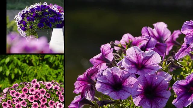 7862ac690c05a554cc6c5b470bda5409