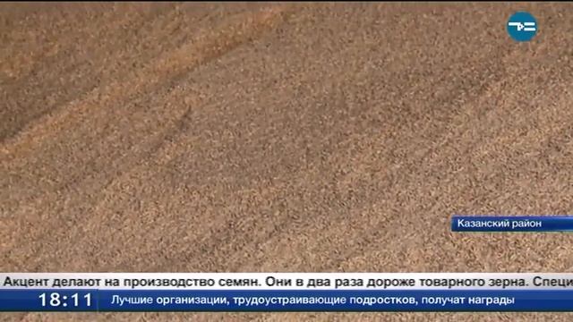 Секрет успеха