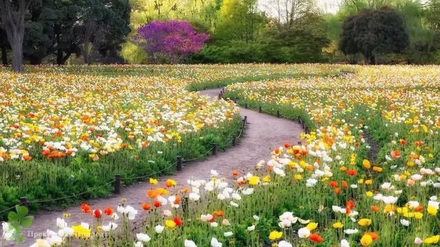 54060b8637565d66af78879c45b9e659