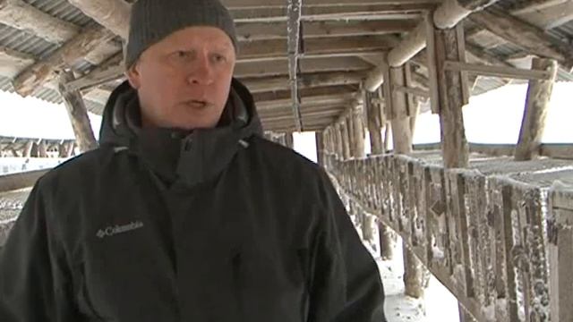 F2b05c7cc5b1b6487566c350e486e726