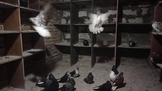 Da140186a566acac1f88e67e05d1e5f0