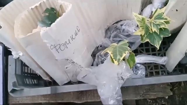 31.10.23г. Пришёл заказ с 