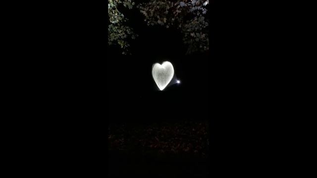 Праздник света