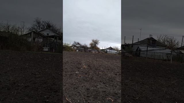 вся радость лишь от садизма