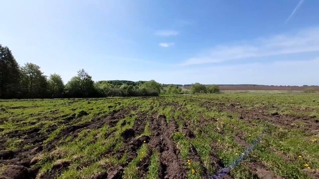Это все, что осталось от живших тут людей... Старинное распаханное село.