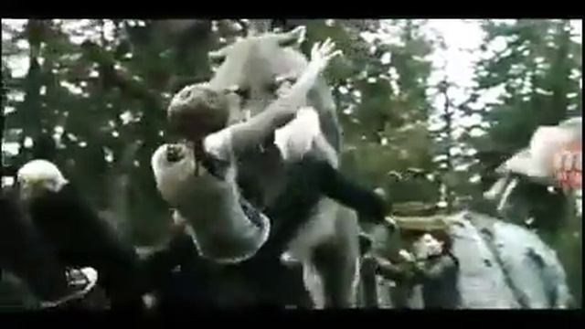 Сумерки. Оборотни. Free Fall.