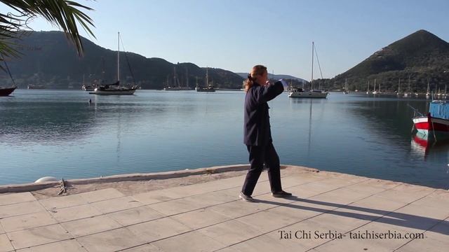 Shibashi Tai Chi Qigong Level II Set Of Exercises