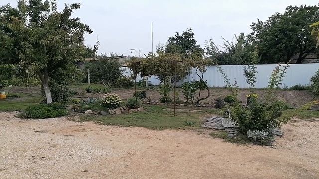 Погода сегодня. Должанская